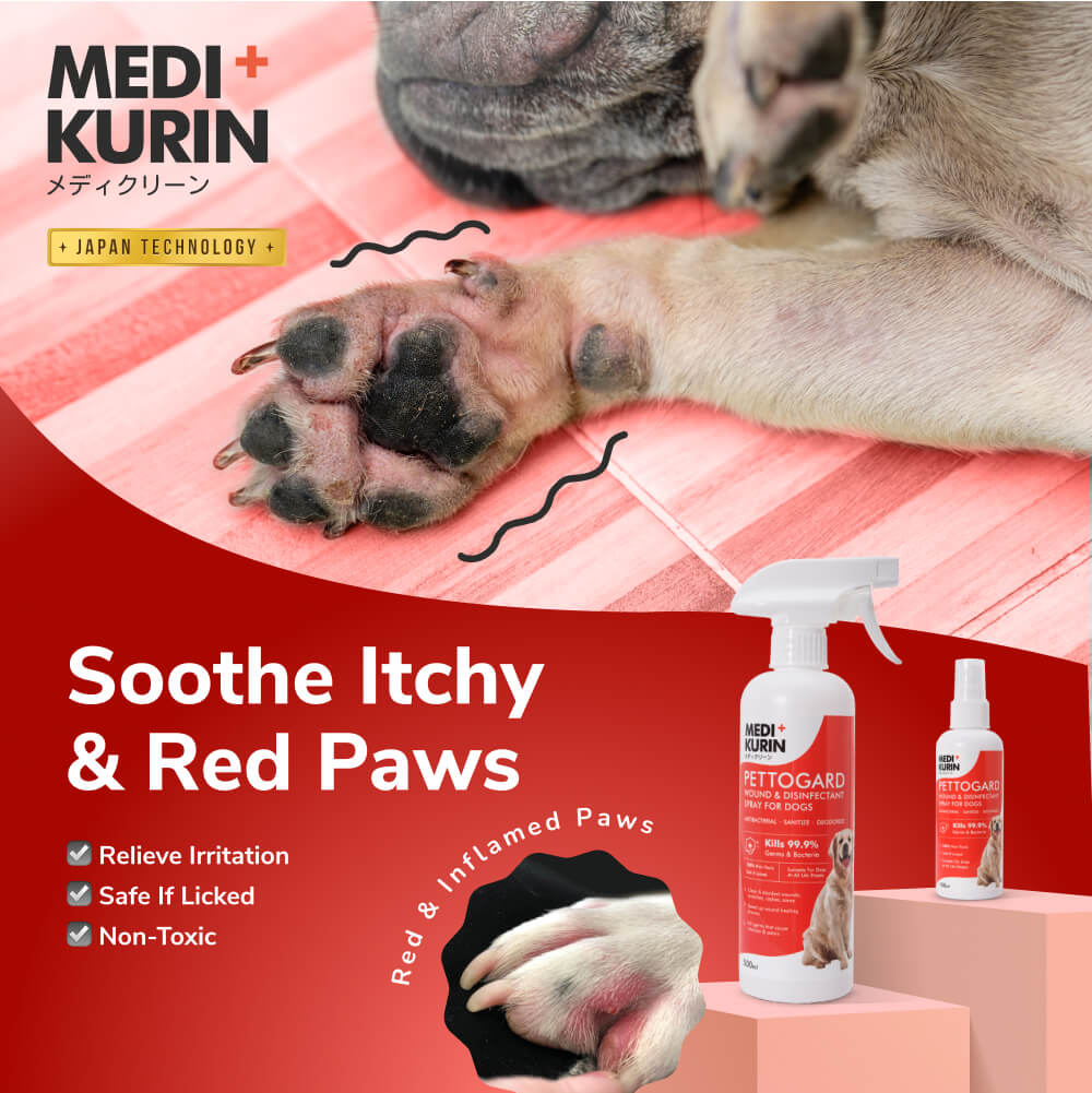 Social Media Ad MediKurin Pettogard Dog